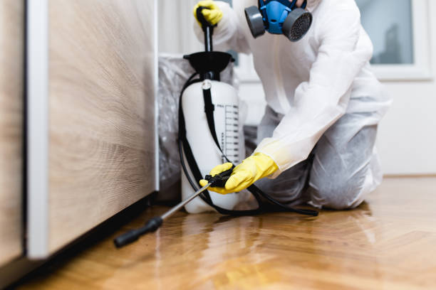 Best Best Pest Control Companies  in Ash Grove, MO