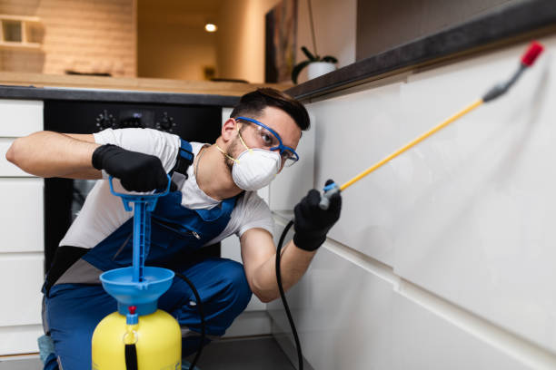 Best Pest Control Near Me in Ash Grove, MO