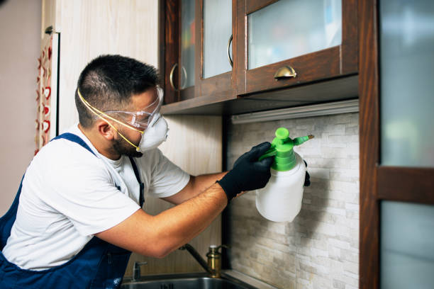 Best Pest Prevention Services  in Ash Grove, MO
