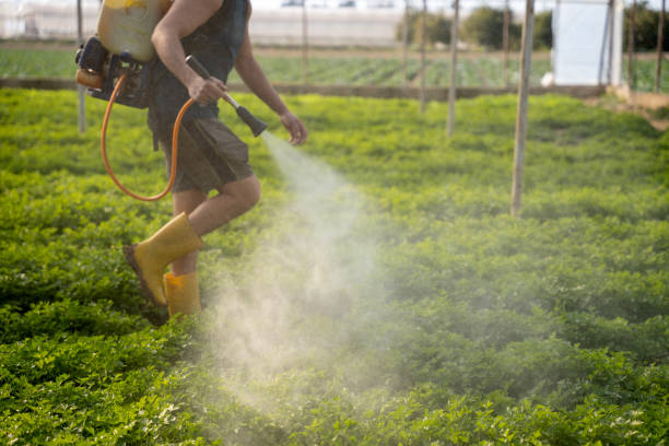 Best Exterminator Services  in Ash Grove, MO