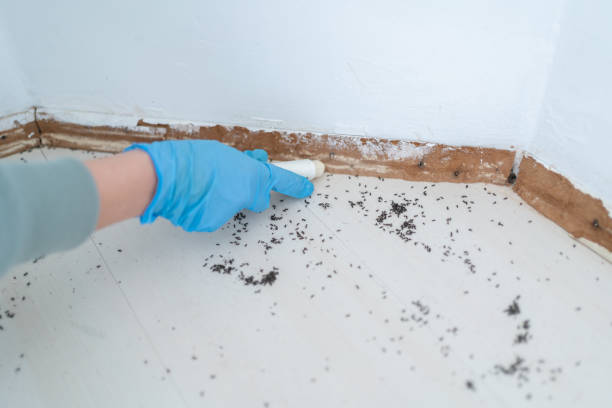 Best Commercial Pest Control Services  in Ash Grove, MO
